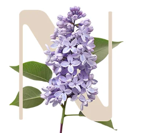 Healthy shine lilac