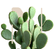 Forseen Shield Nopal